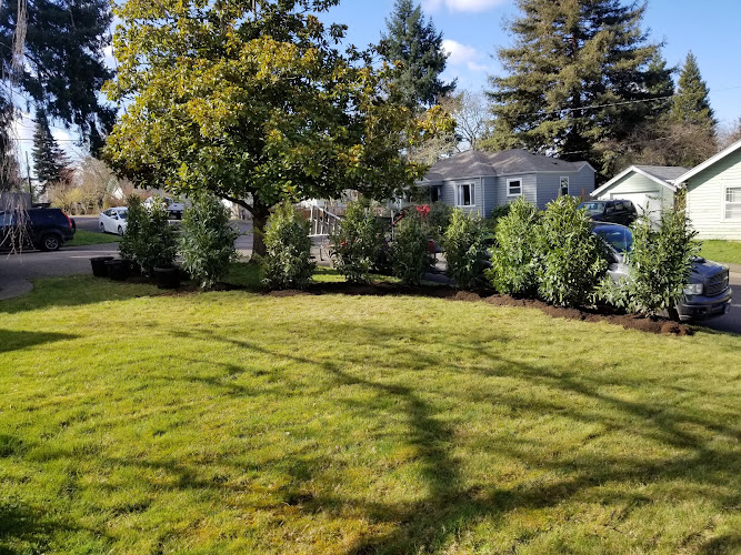 Sparkys Landscaping LLC