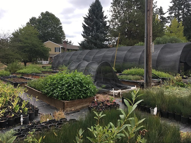 Native Plantscapes NW