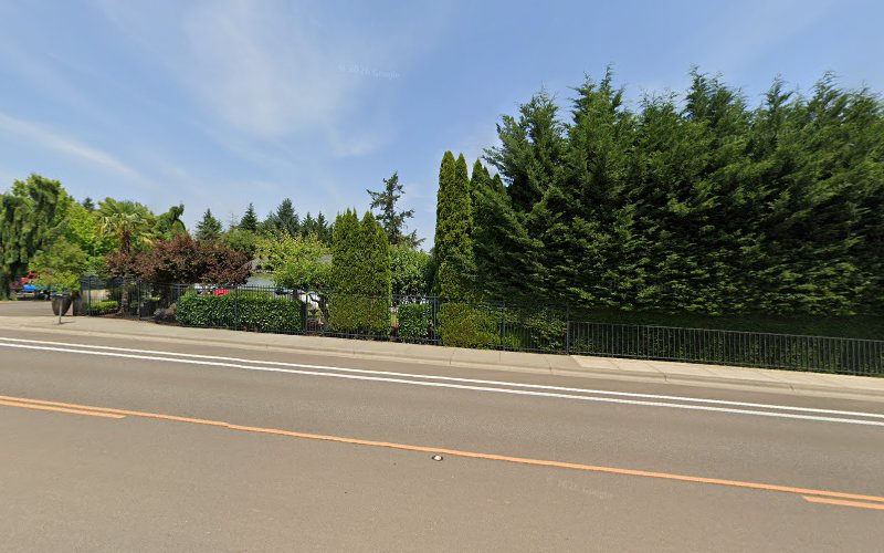 Willy Chavez Landscape Services Inc.