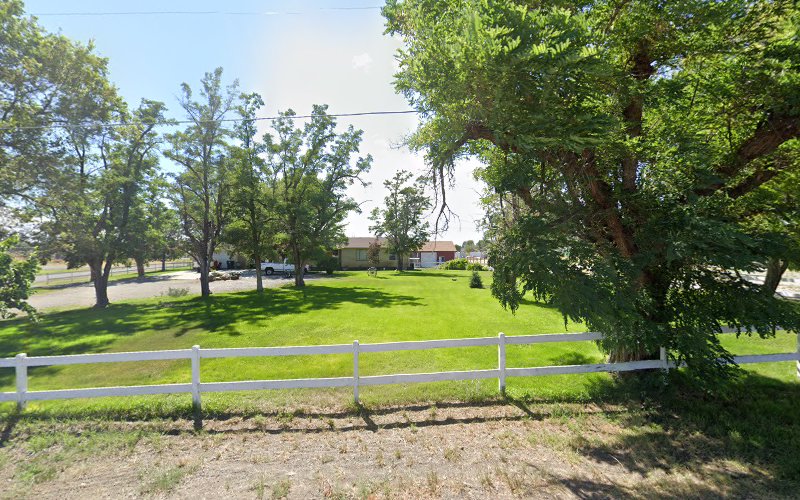 Best Choice Lawn care