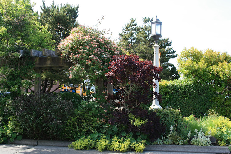 Natures Helper Inc Landscape