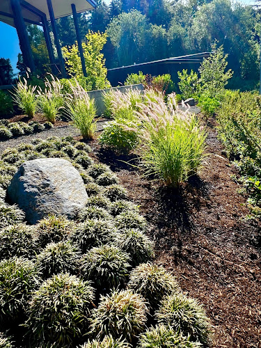 Pistils Landscape Design + Build