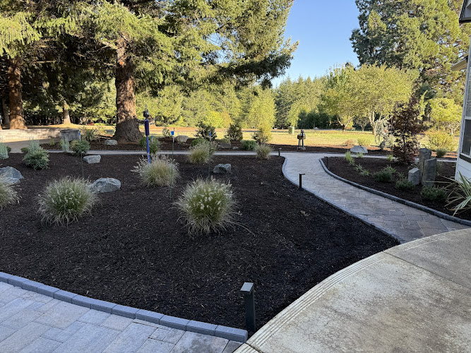 C and D Landscape Co., C and D Custom Construction, Christmas Decor