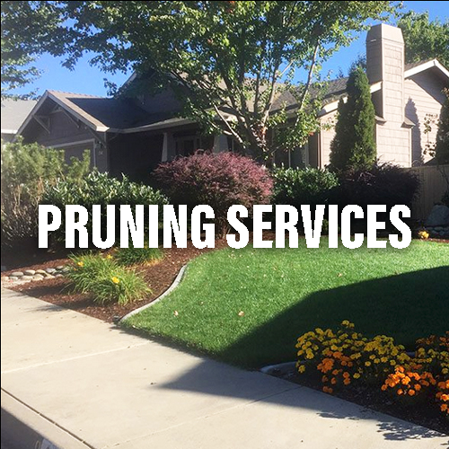 Milestone Landscape Group