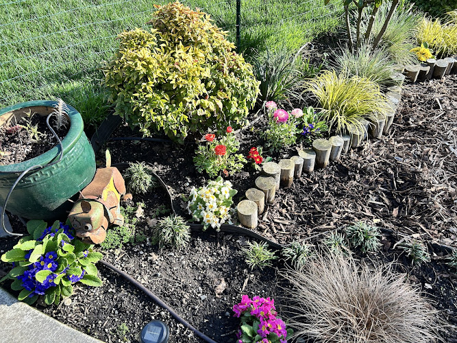 Eugene Landscape & Irrigation