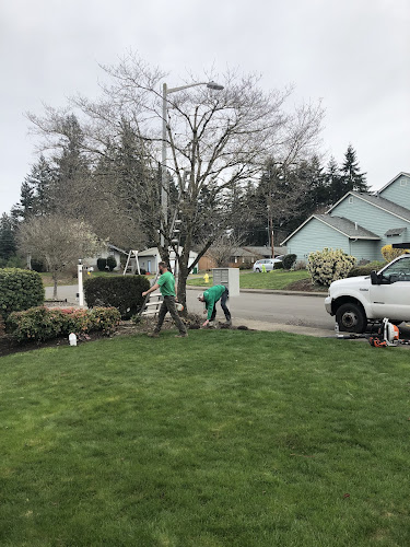 Anderson Landscape & Tree Service